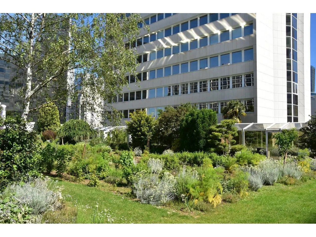 Office in Puteaux to rent Primary Photo- Image 1 of 21