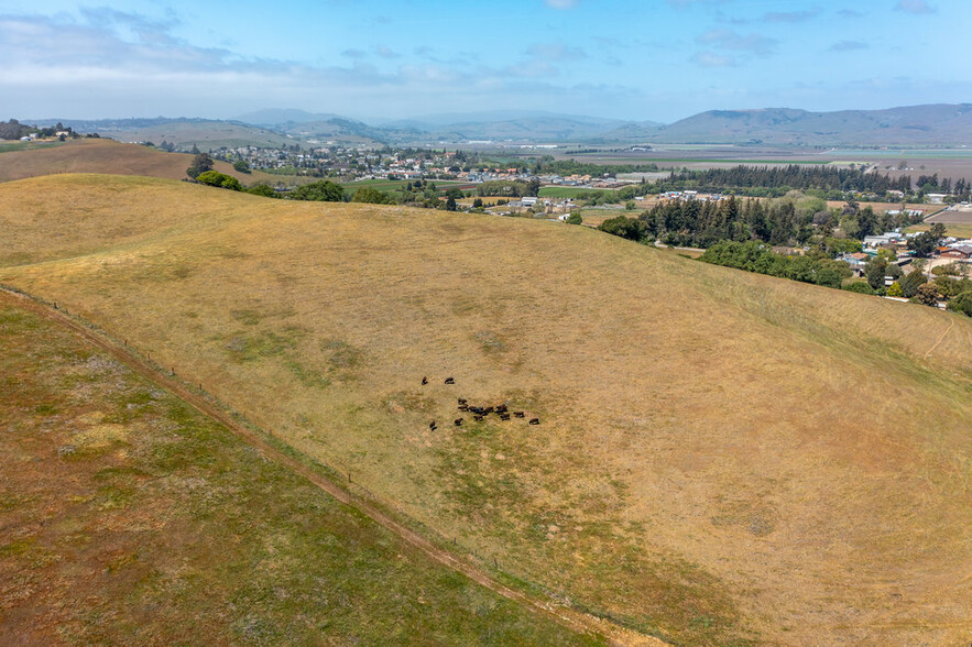 333 Mission Vineyard, San Juan Bautista, CA for sale - Building Photo - Image 3 of 23