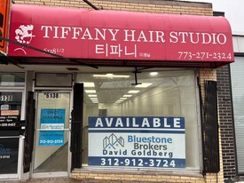 6138 N Lincoln Ave, Chicago IL - Commercial Property