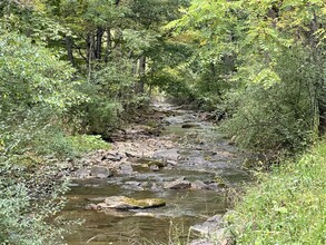 0 Turkey Creek Rd, Gap Mills, WV for sale Primary Photo- Image 1 of 1