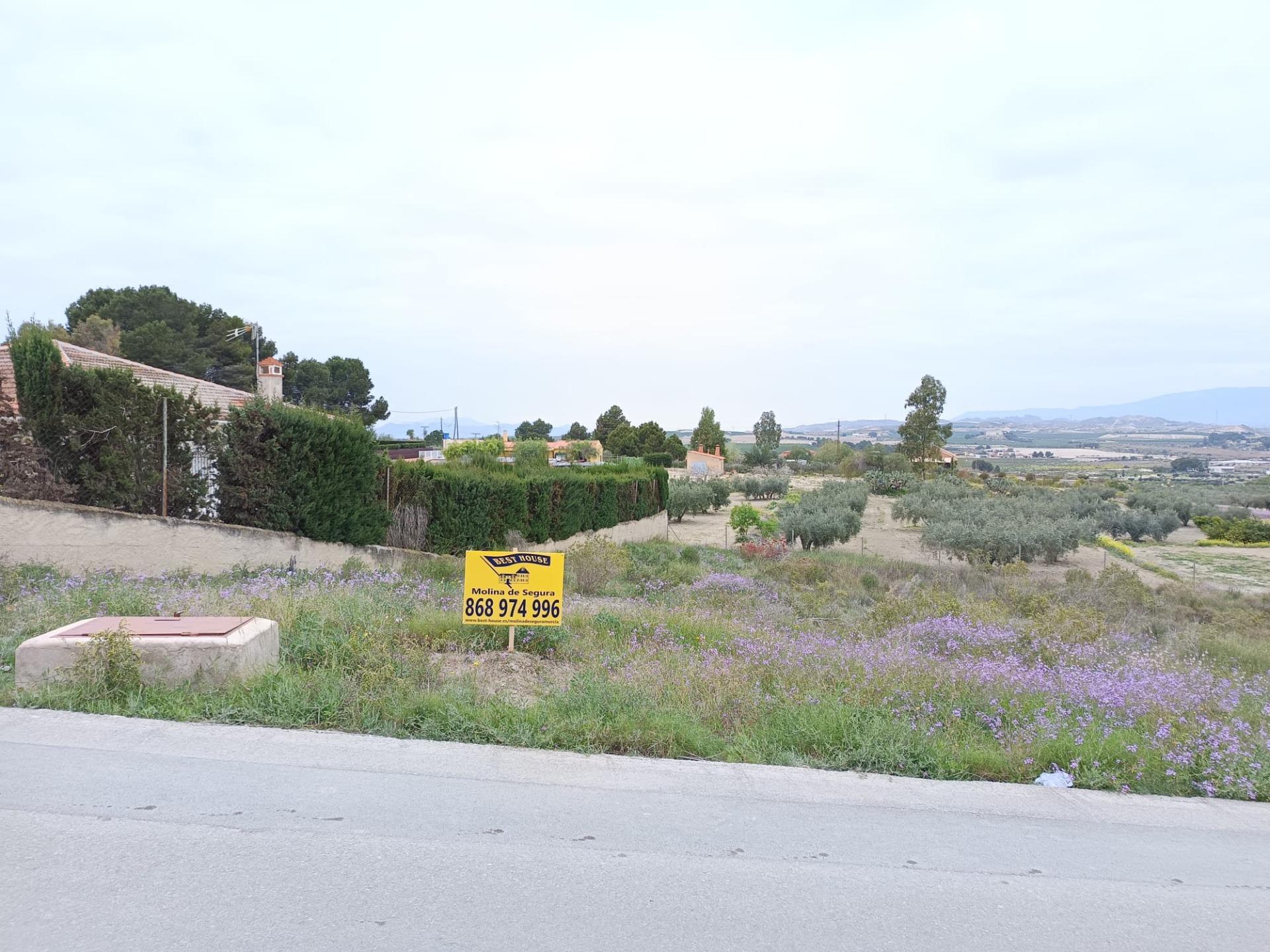 Land in Molina de Segura, Murcia for sale Aerial- Image 1 of 6