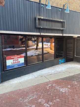 More details for 246 N Kalamazoo Mall, Kalamazoo, MI - Retail for Rent