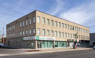 More details for 5151 Rue Jean-Talon E, Saint-leonard, QC - Office/Medical for Rent