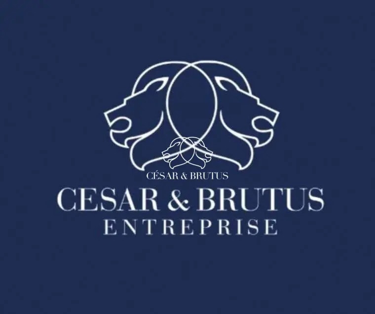 Vente Commerce 50 m² - Photo 1