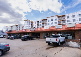 More details for 703 Wilcox St, Castle Rock, CO - Retail for Rent