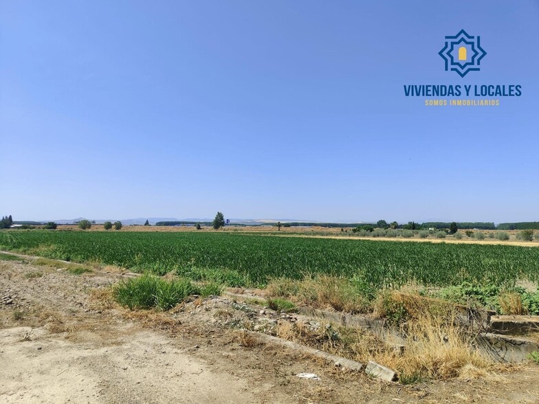 Carretera de Pinos Puente, Atarfe, Granada for sale - Building Photo - Image 2 of 9