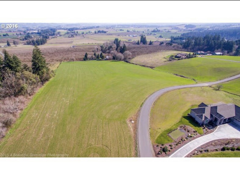 13317 SW Kleier Dr, Hillsboro, OR for rent - Aerial - Image 3 of 3