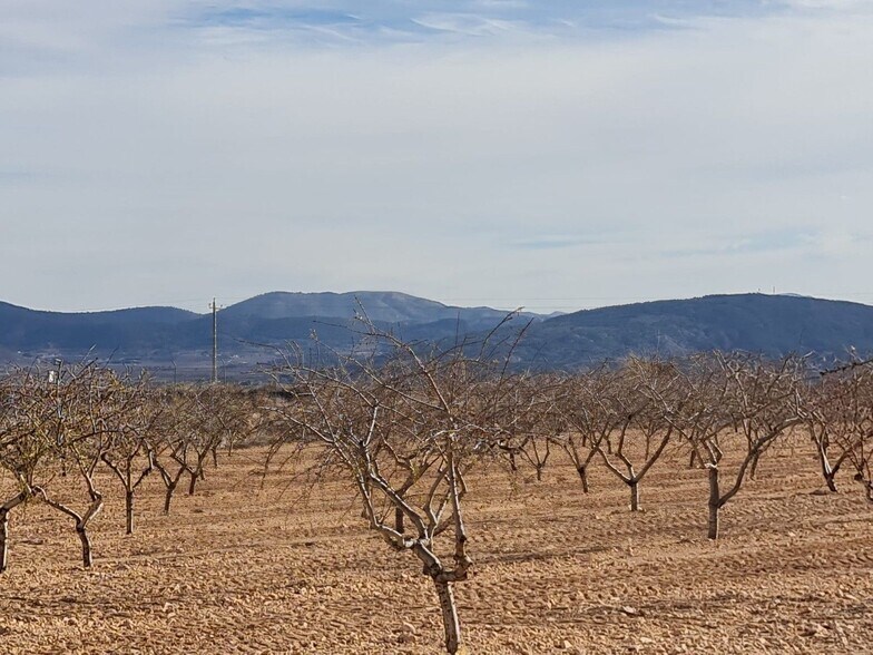 Land in Yecla, Murcia for sale - Primary Photo - Image 2 of 8