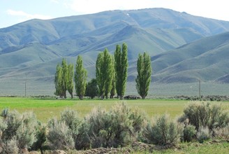 27815 Woodward Ranch Rd, Denio, NV for sale Primary Photo- Image 1 of 1