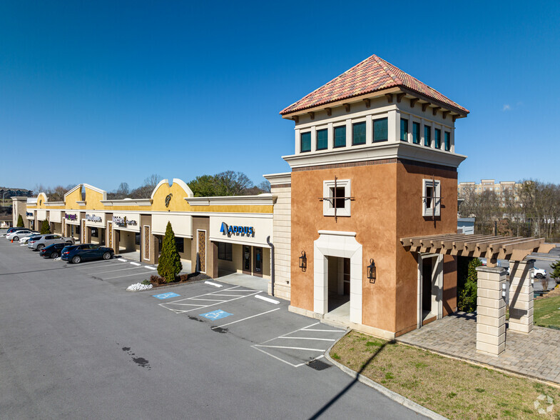 100-172 W Springbrook Dr, Johnson City, TN for rent - Primary Photo - Image 1 of 13