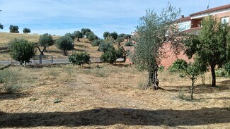 More details for Camino de la Mina, 1, Calera y Chozas - Land for Sale