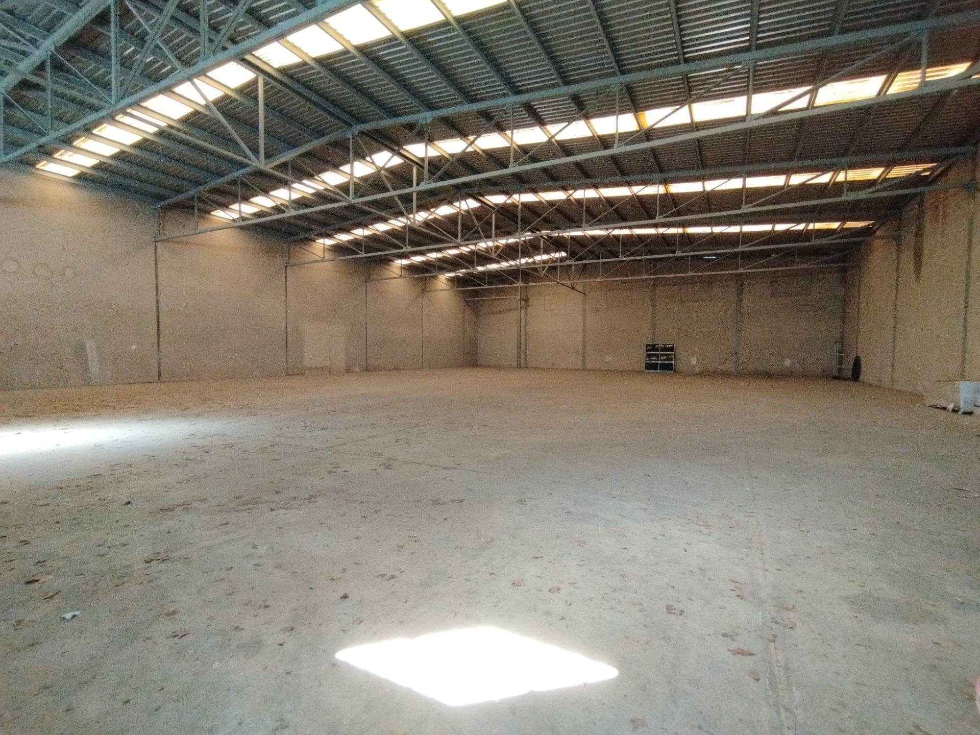 Industrial in Elche, Alicante to rent Building Photo- Image 1 of 10