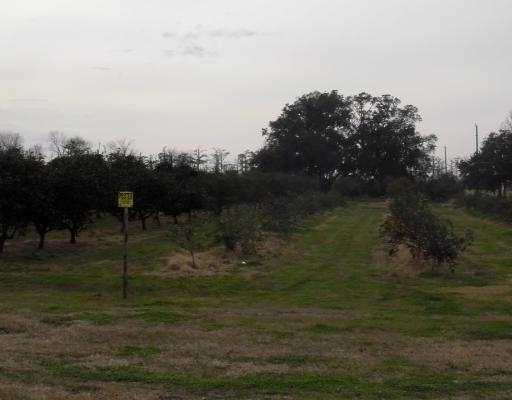 13866 Hwy 23, Belle Chasse, LA for sale - Building Photo - Image 1 of 1