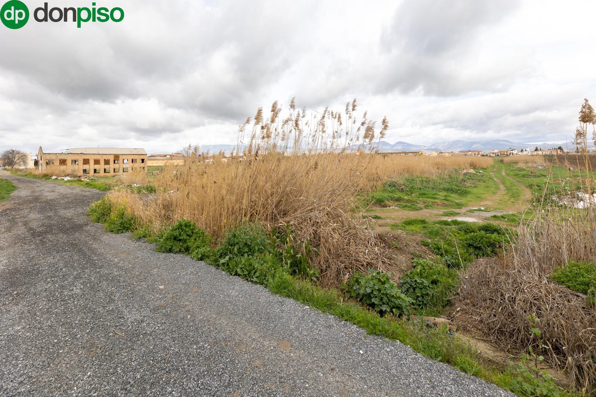 Calle Victoria Kent, 39A, Chauchina, Granada for sale Primary Photo- Image 1 of 12