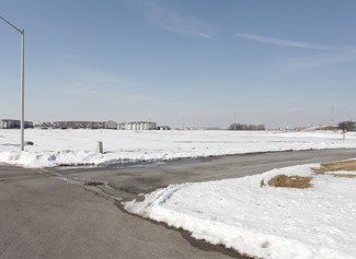 More details for 261 W 94th Pl, Crown Point, IN - Land for Sale