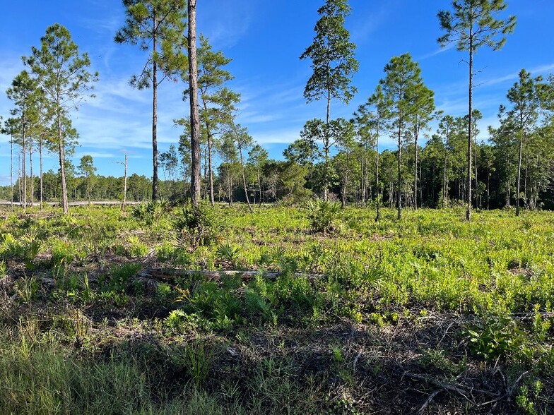 2 International Golf Parkway, Saint Augustine, FL for sale - Building Photo - Image 2 of 2