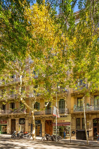More details for Carrer d'Aribau, 126-128, Barcelona - Retail to Rent