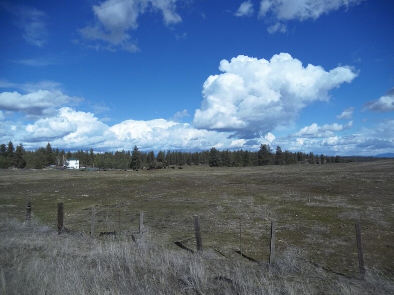 N Hayford, Spokane, WA for sale - Building Photo - Image 1 of 13