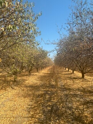 More details for 18897 Road 96, Tulare, CA - Land for Sale