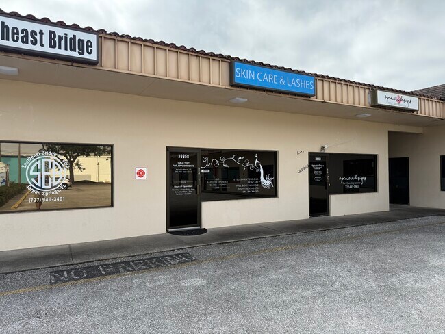 More details for 38850 U.S. Highway 19 N, Tarpon Springs, FL - Office to Rent