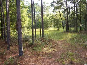 S Island Rd, Georgetown, SC for sale Primary Photo- Image 1 of 1