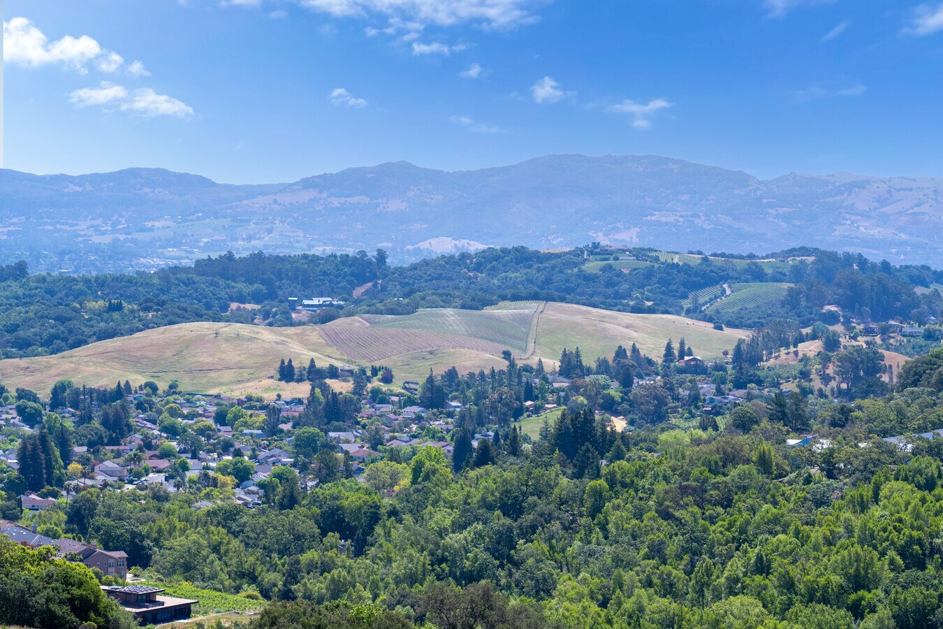 Partrick Rd, Napa 94558 Land for Sale