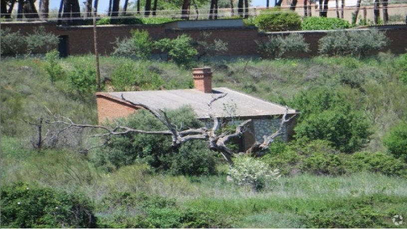 Polígono 6 Parcela 54, Haza Carmen, Guadalajara, Guadalajara for sale Primary Photo- Image 1 of 1