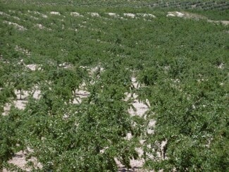 More details for Land for Sale