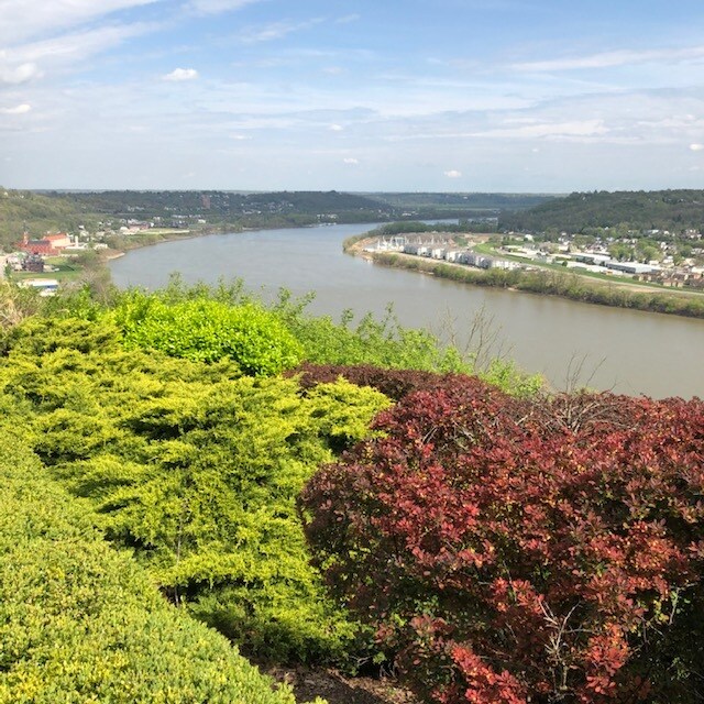 2401 Ingleside Ave, Cincinnati 45206