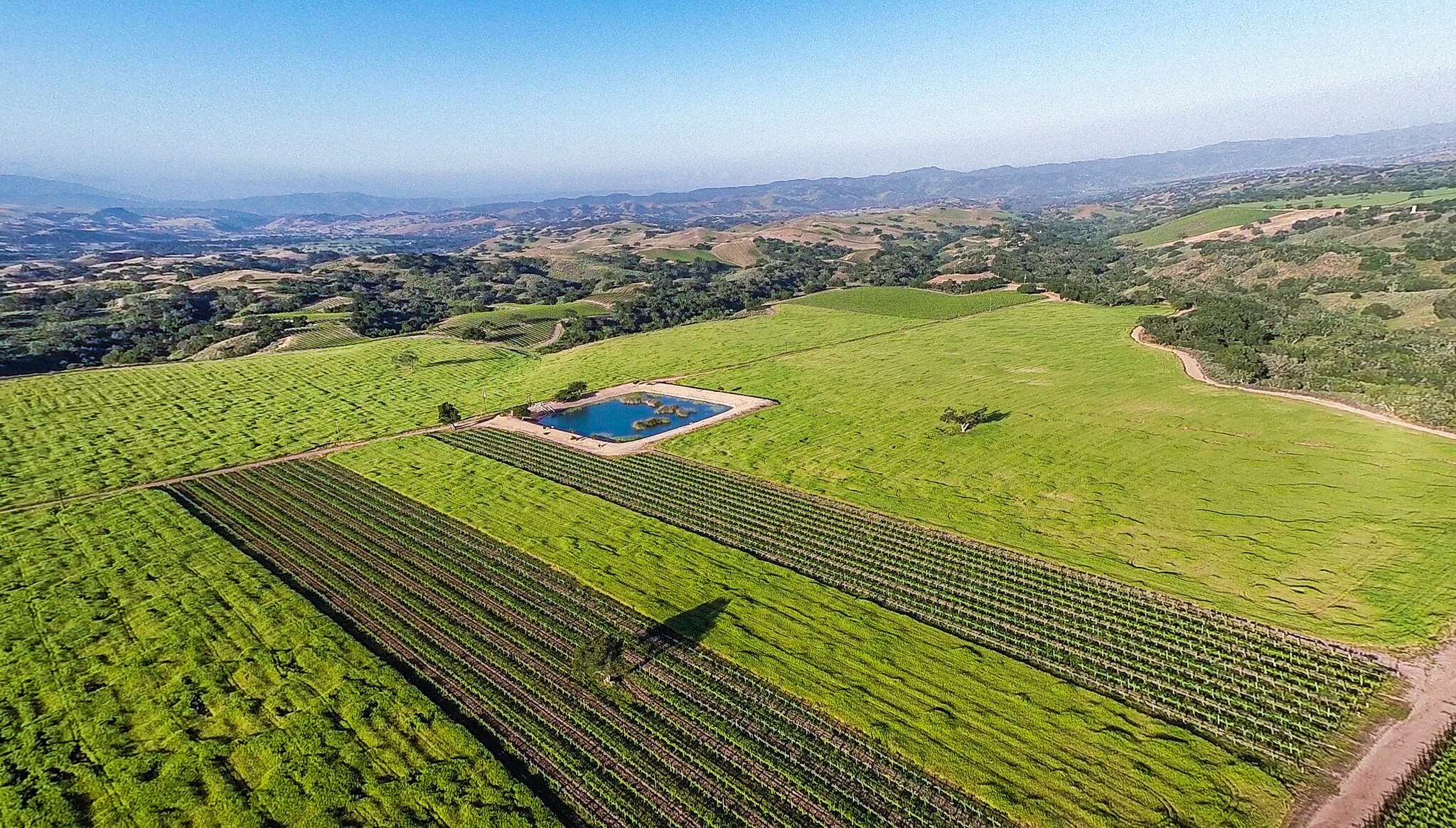 FOXEN CANYON ROAD VINEYARD, Los Olivos, CA for sale Aerial- Image 1 of 1