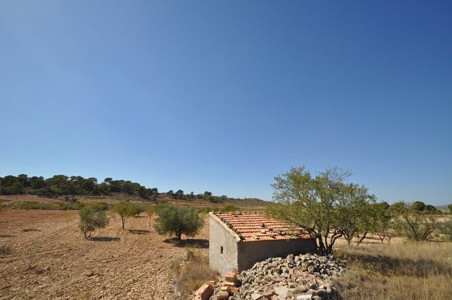 Land in Jumilla, Murcia for sale - Primary Photo - Image 3 of 13