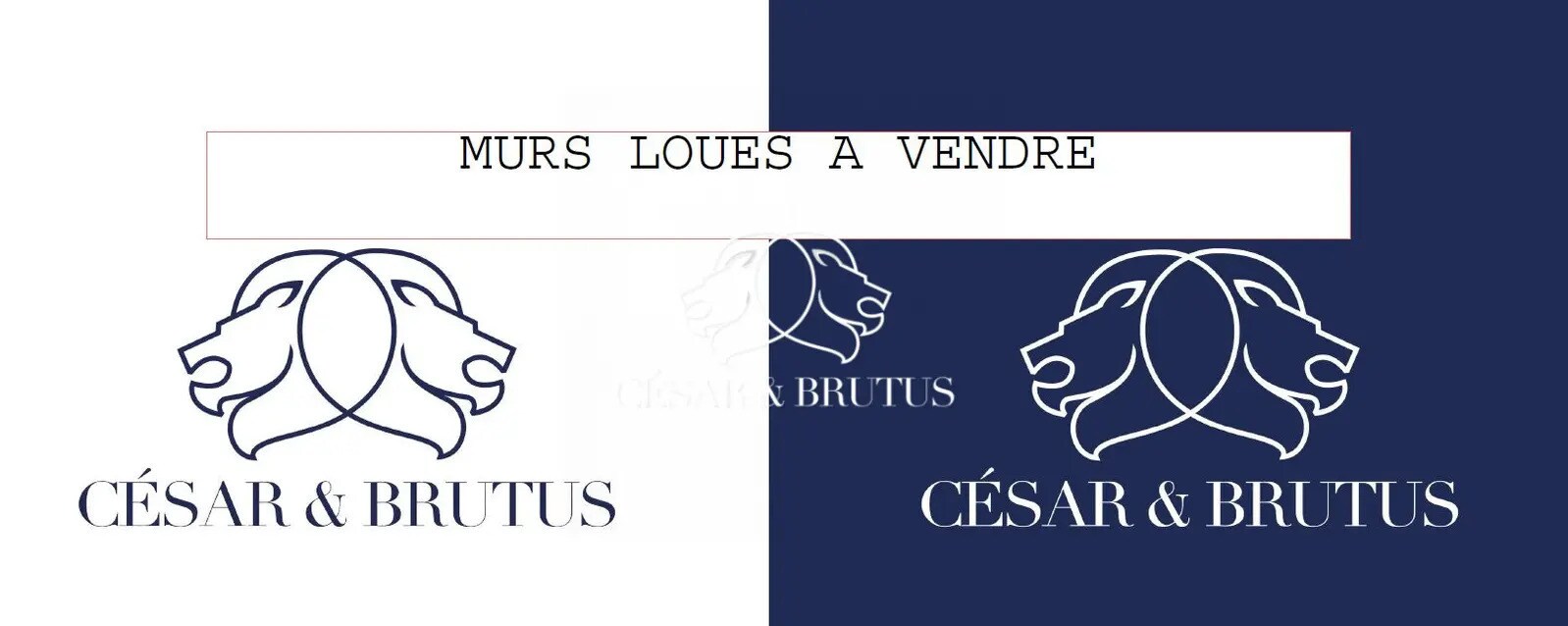 Retail in Lyon for sale Building Photo- Image 1 of 2