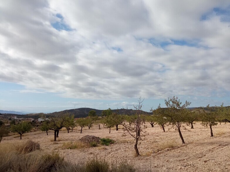 Calle de la Vereda, 4, Abanilla, Murcia for sale - Building Photo - Image 2 of 4