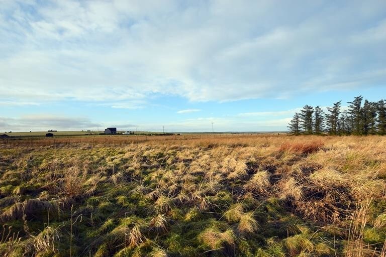 Nordwall Park, Wick for sale Primary Photo- Image 1 of 1