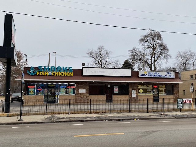 102 E 79th St, Chicago, IL for sale - Primary Photo - Image 1 of 1