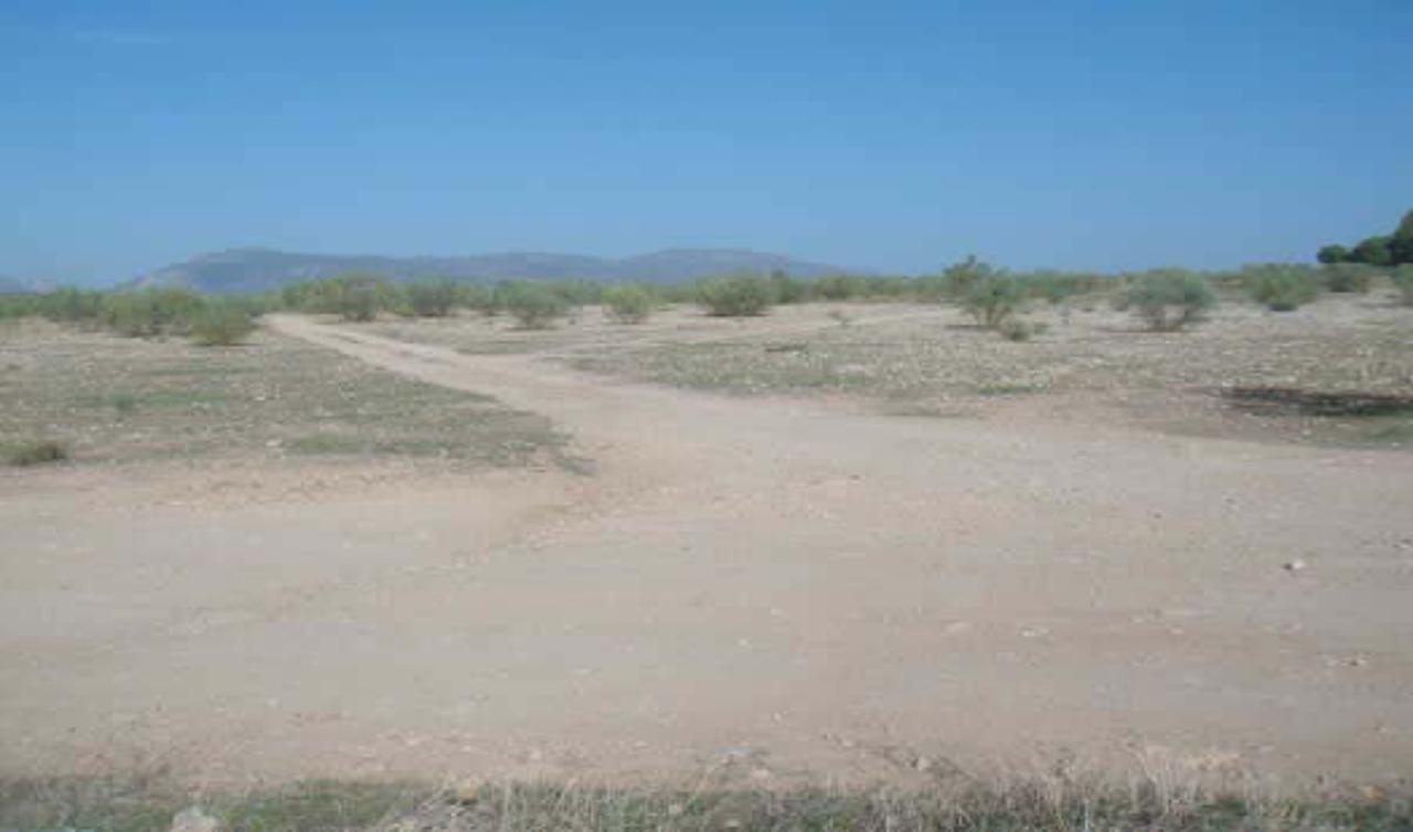 Land in Atarfe, Granada for sale Site Plan- Image 1 of 8