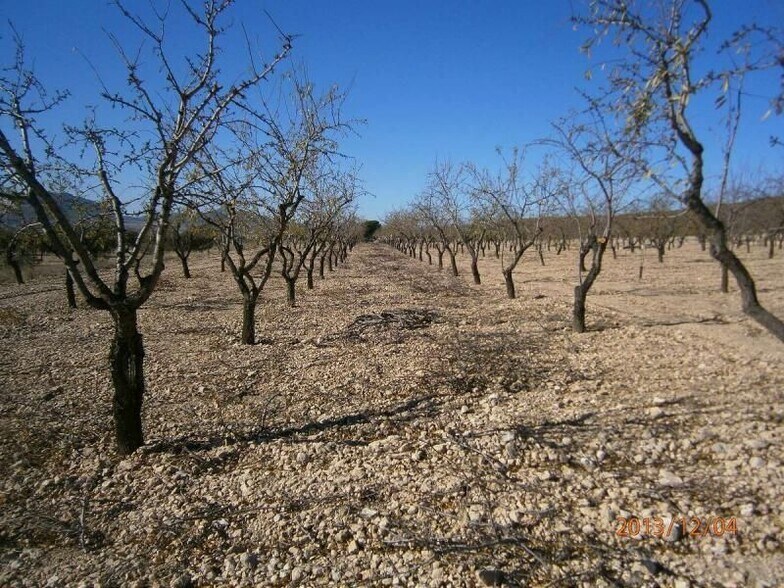Land in MURCIA for sale - Primary Photo - Image 2 of 6