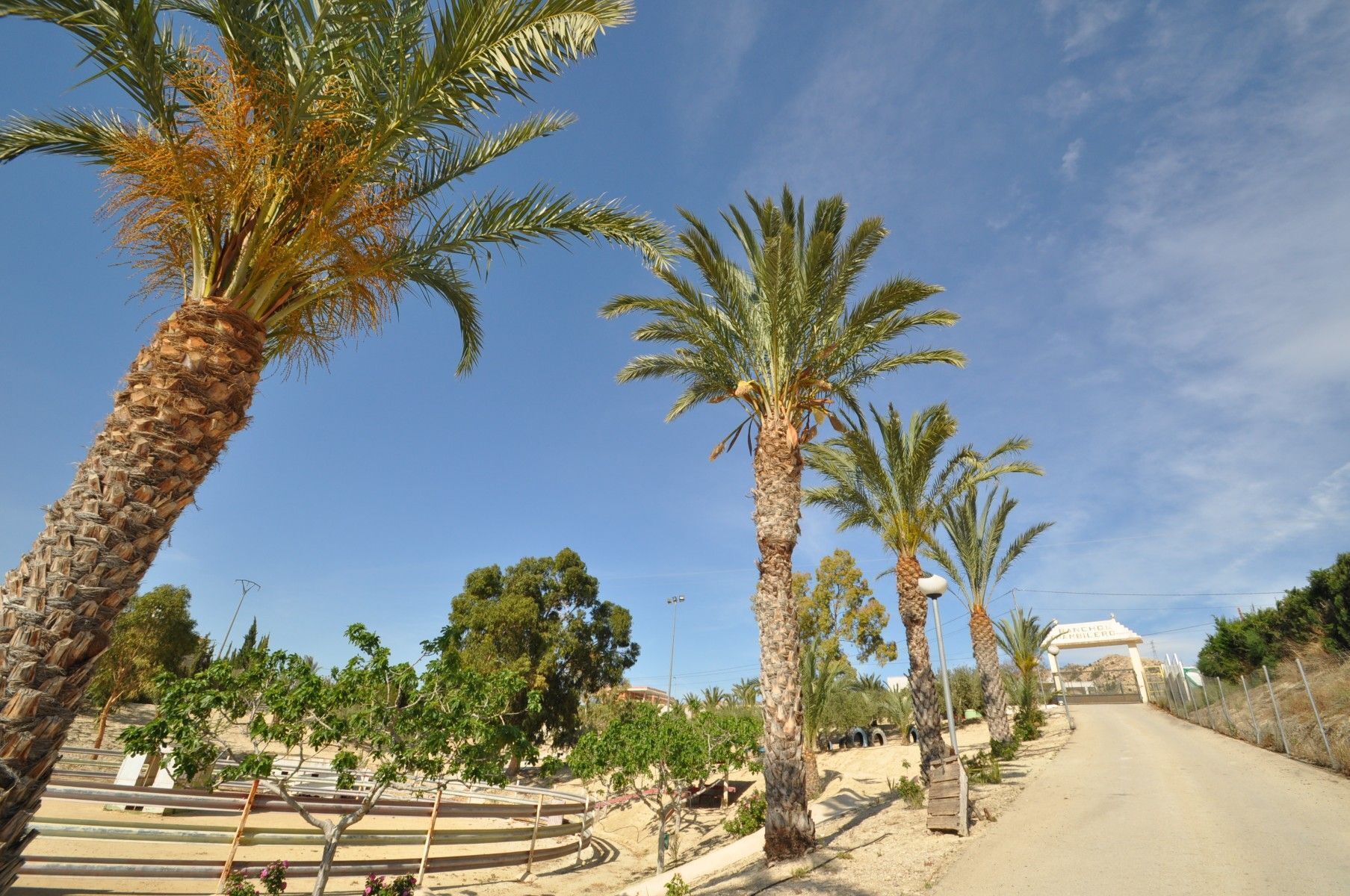 Retail in Abanilla, Murcia for sale Building Photo- Image 1 of 51