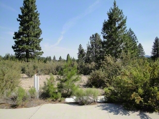 0 Vista Dr, Weed, CA for sale - Primary Photo - Image 1 of 1