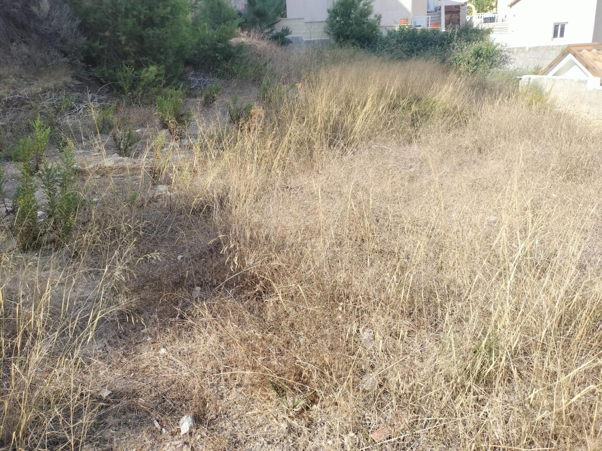 Land in Rojales, Alicante for sale Primary Photo- Image 1 of 7