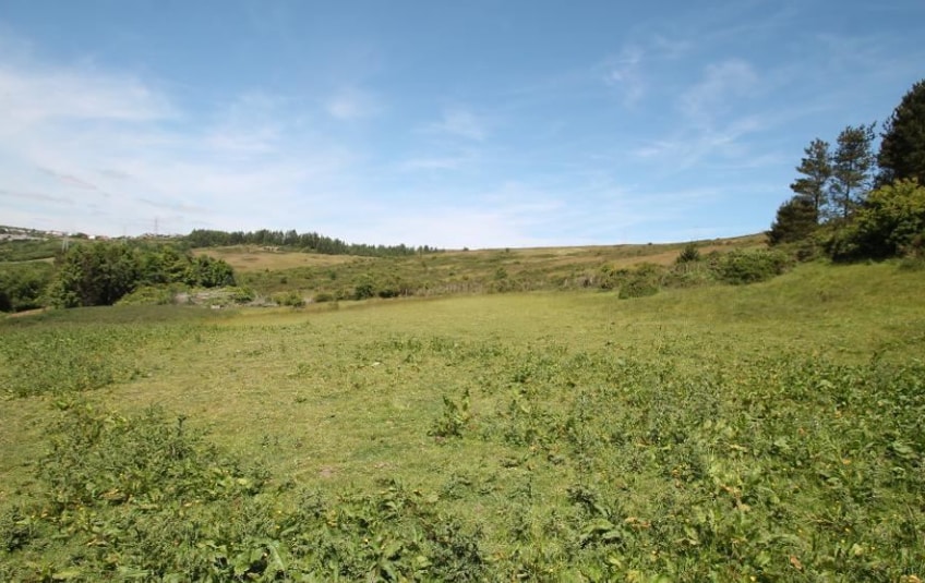 Pant-Y-Fforest, Ebbw Vale for sale - Other - Image 3 of 5