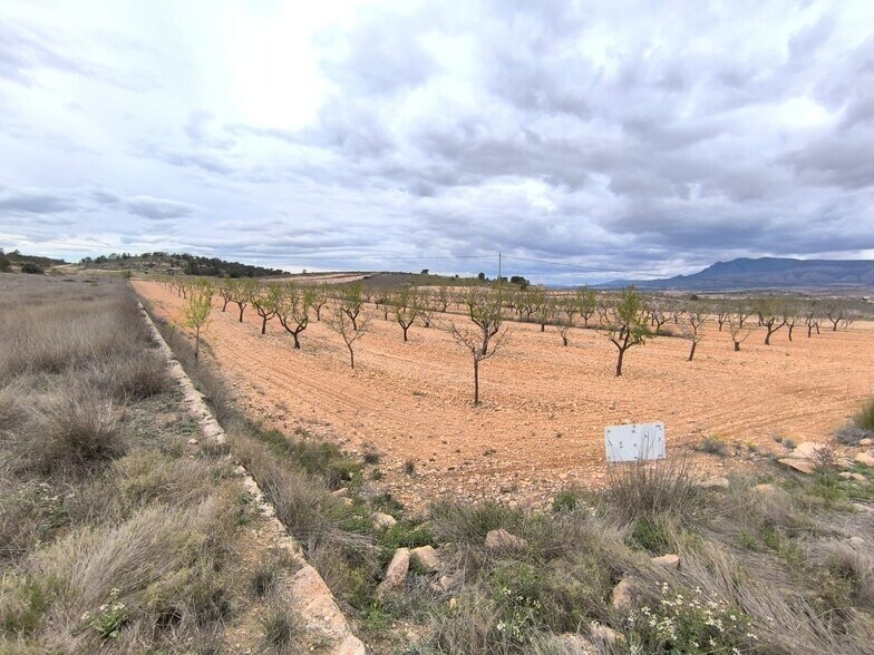 Land in Yecla, Murcia for sale - Aerial - Image 1 of 3