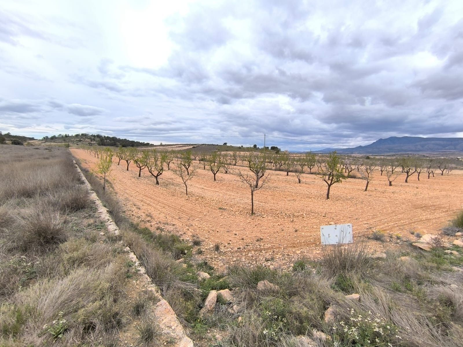 Land in Yecla, Murcia for sale Aerial- Image 1 of 4