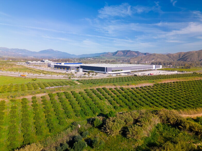Calle María Andresa Casamayor, 2, Cártama, Málaga to rent - Building Photo - Image 2 of 11