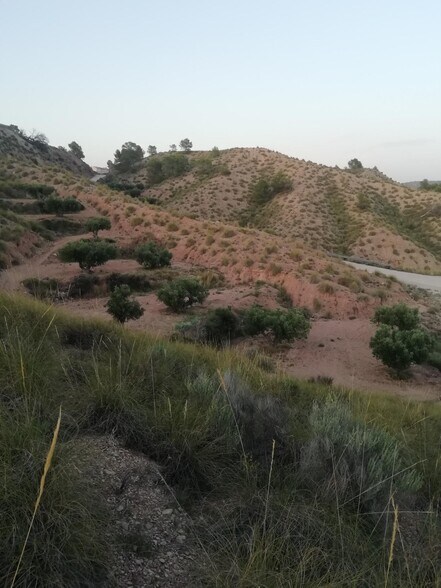 Land in Abanilla, Murcia for sale - Aerial - Image 2 of 5