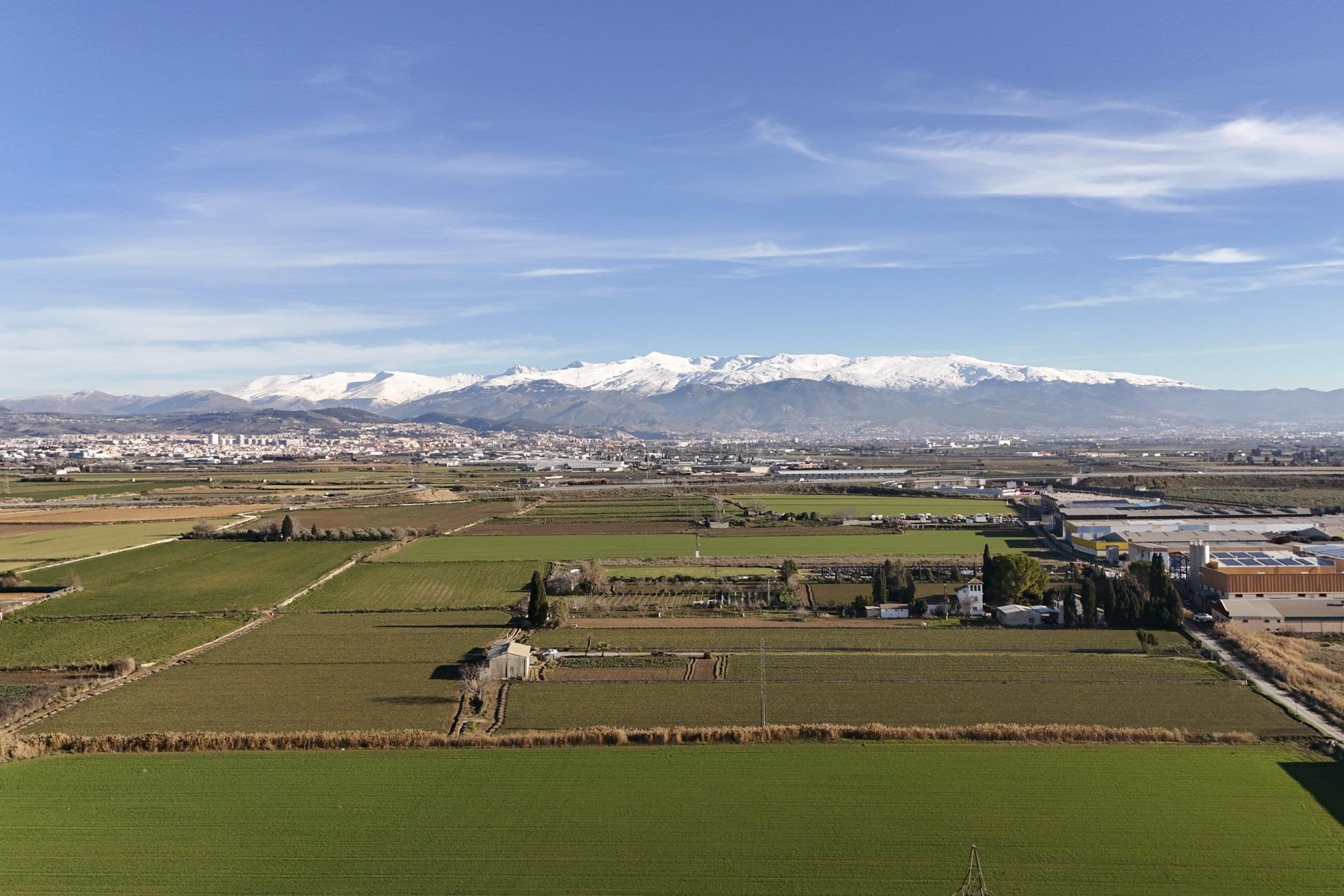 Camino del Jueves, Atarfe, Granada for sale Primary Photo- Image 1 of 29