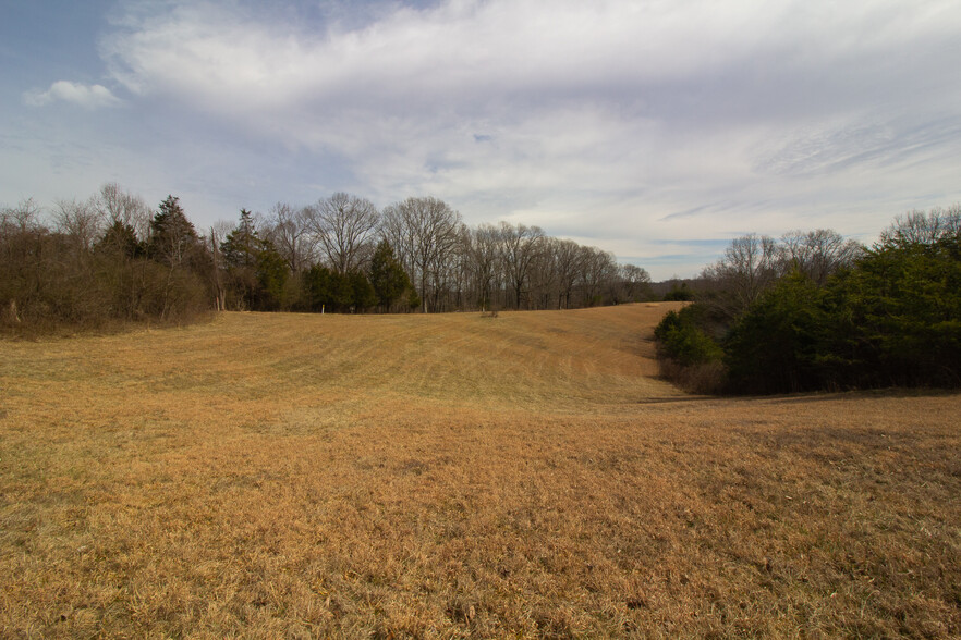 River Road, Madison Heights, Amherst, VA, USA, Madison Heights, VA for sale - Other - Image 3 of 14