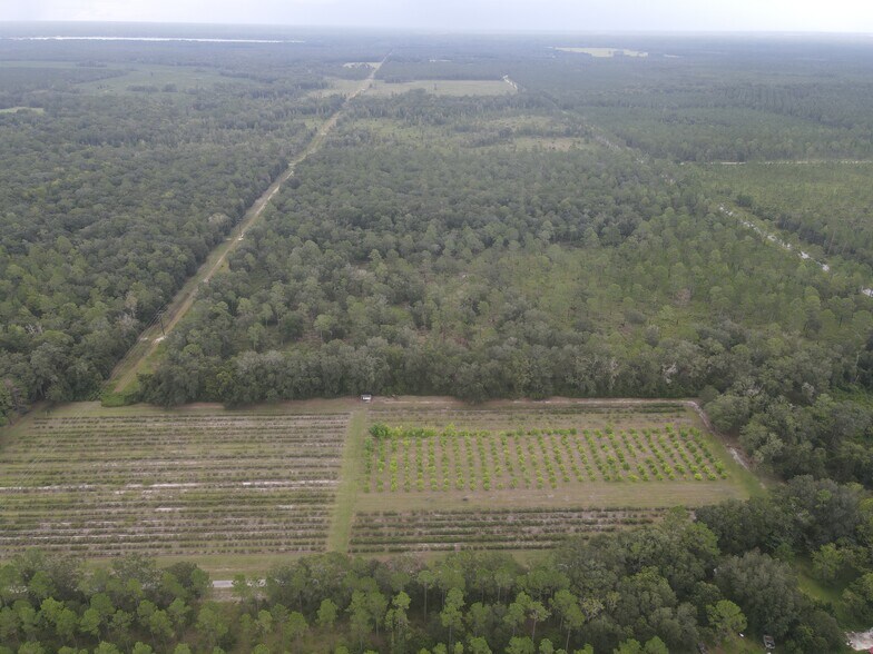 8910 E County Road 225, Gainesville, FL for sale - Primary Photo - Image 1 of 14