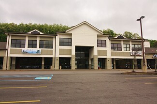 More details for 2101 Greentree Rd, Pittsburgh, PA - Office, Retail for Rent