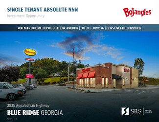 More details for 3835 Appalachian Hwy, Blue Ridge, GA - Retail for Sale